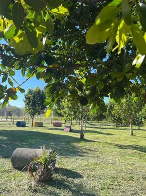 Image 17 - 883487