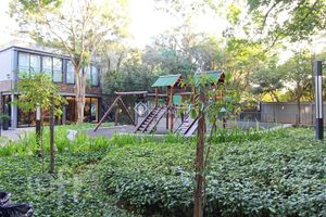 Image 41 - 883505