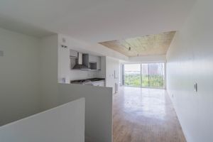 Image 6 - 883506