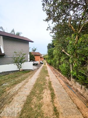 Image 33 - 883517