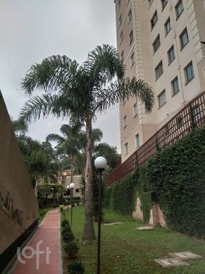 Image 18 - 883550