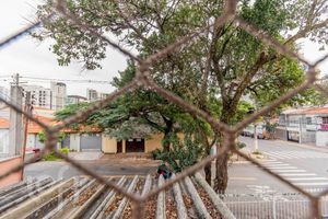 Image 33 - 883559