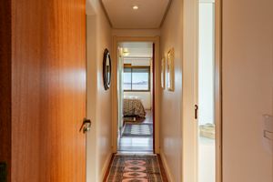 Image 13 - 883575