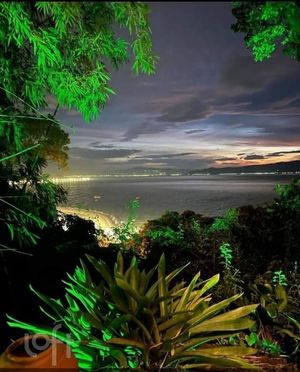 Image 6 - 883644