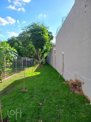 Image 31 - 883681