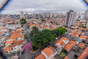Image 31 - 883741