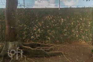 Image 7 - 883744