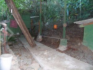 Image 14 - 883784