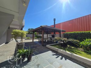 Image 13 - 883871