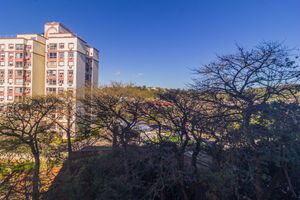 Image 4 - 883952