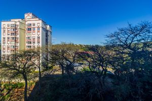 Image 16 - 883952