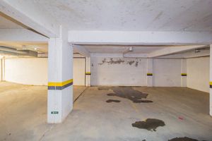 Image 24 - 883952