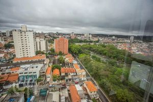 Image 38 - 884073