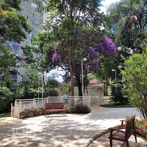 Image 16 - 884091