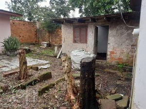 Image 7 - 884139