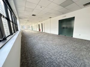 Image 4 - 884168