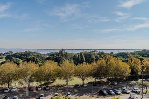 Image 13 - 884195