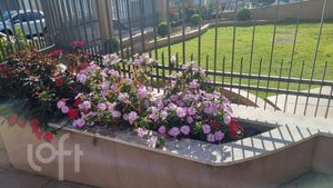 Image 15 - 884236