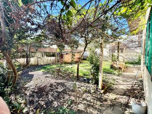 Image 34 - 884256