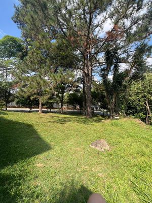Image 3 - 884257