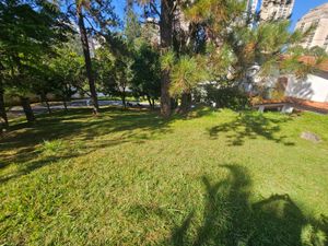 Image 2 - 884257