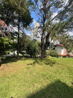 Image 4 - 884257