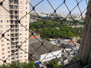 Image 9 - 884262