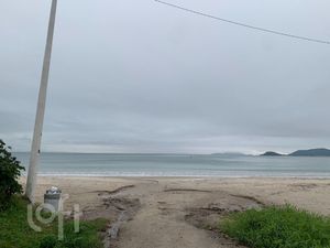 Image 33 - 884316