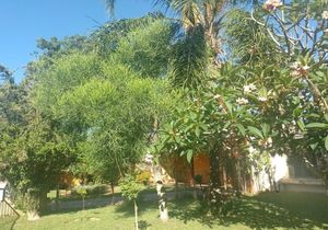 Image 3 - 884345