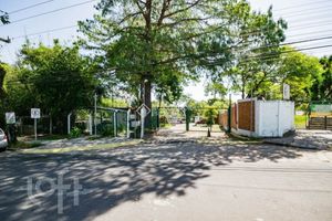 Image 5 - 884377