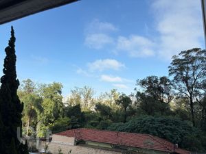 Image 4 - 884384