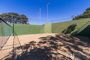 Image 30 - 884446