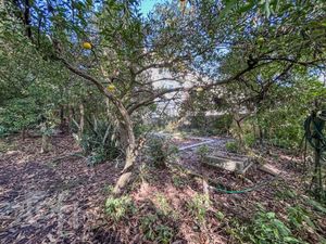 Image 70 - 884484