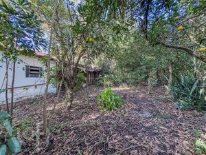Image 69 - 884484