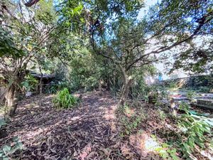 Image 74 - 884484