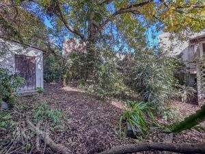 Image 73 - 884484