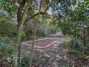 Image 65 - 884484