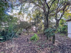 Image 72 - 884484