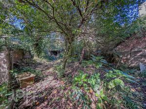 Image 71 - 884484