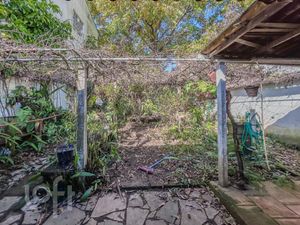 Image 41 - 884484
