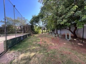 Image 17 - 884488