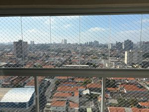 Image 4 - 884493