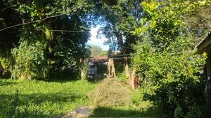 Image 5 - 884496