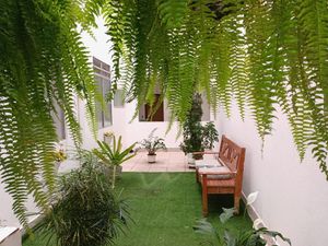 Image 9 - 884497