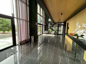 Image 19 - 884528