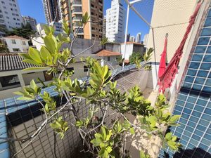 Image 29 - 884626