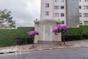 Image 30 - 884667