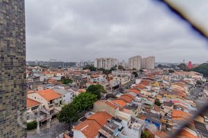 Image 3 - 884667