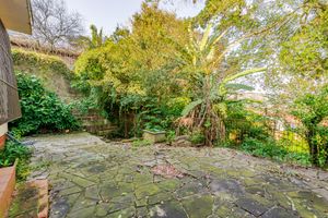 Image 45 - 884735