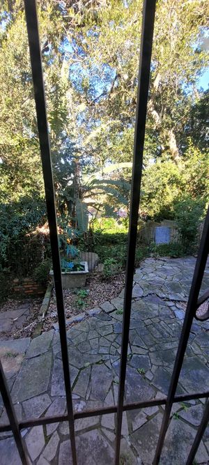 Image 11 - 884735